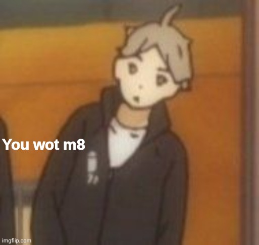 You wot m8 | image tagged in you wot m8 | made w/ Imgflip meme maker