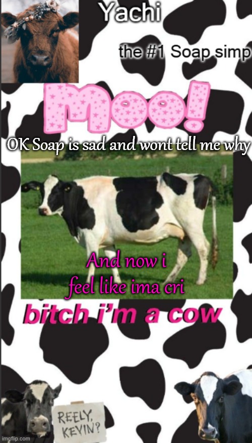 Yachis cow temp | OK Soap is sad and wont tell me why; And now i feel like ima cri | image tagged in yachis cow temp | made w/ Imgflip meme maker