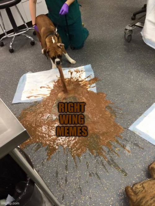 dog vomit | RIGHT WING MEMES | image tagged in dog vomit | made w/ Imgflip meme maker