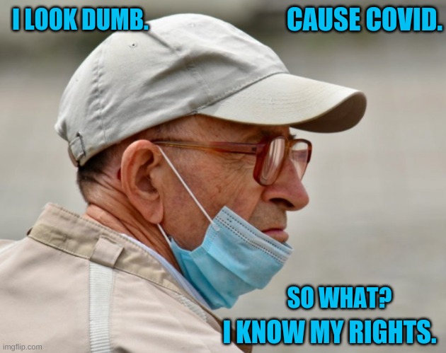 funny truth of masks | CAUSE COVID. I LOOK DUMB. SO WHAT? I KNOW MY RIGHTS. | image tagged in covid mask | made w/ Imgflip meme maker