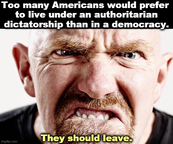 Do you want to live under a dictator? Go. There are many countries who will welcome more slaves. | Too many Americans would prefer 
to live under an authoritarian dictatorship than in a democracy. They should leave. | image tagged in ugly old republican guy angry at nothing all the time,dictator,republican,traitors,deport | made w/ Imgflip meme maker