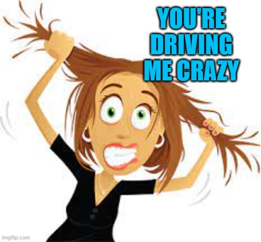 YOU'RE DRIVING ME CRAZY | made w/ Imgflip meme maker