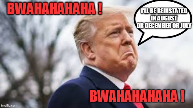 trumptard will be reinstated in august or december or july? NEVER! BWAHAHAHAHA! | I'LL BE REINSTATED
IN AUGUST OR DECEMBER OR JULY; BWAHAHAHAHA ! BWAHAHAHAHA ! | image tagged in trump tears | made w/ Imgflip meme maker