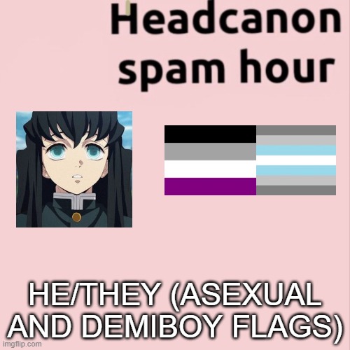 HE/THEY (ASEXUAL AND DEMIBOY FLAGS) | made w/ Imgflip meme maker