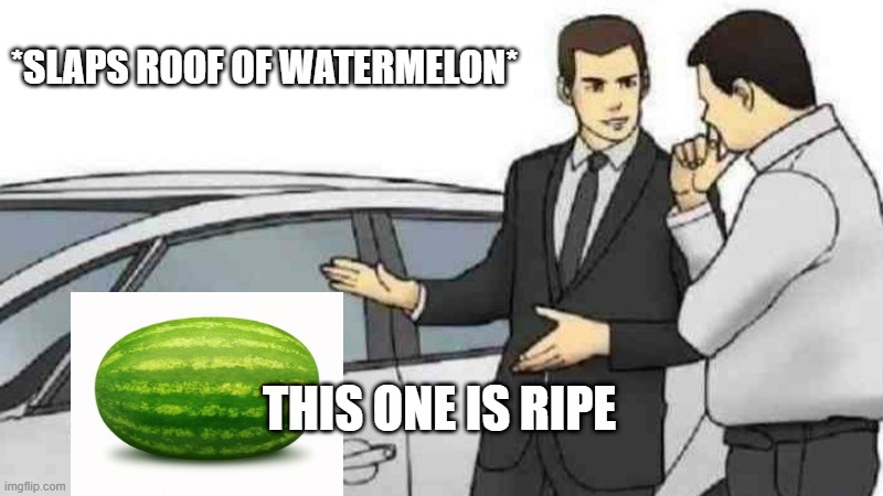 yes | *SLAPS ROOF OF WATERMELON*; THIS ONE IS RIPE | image tagged in memes,car salesman slaps roof of car | made w/ Imgflip meme maker