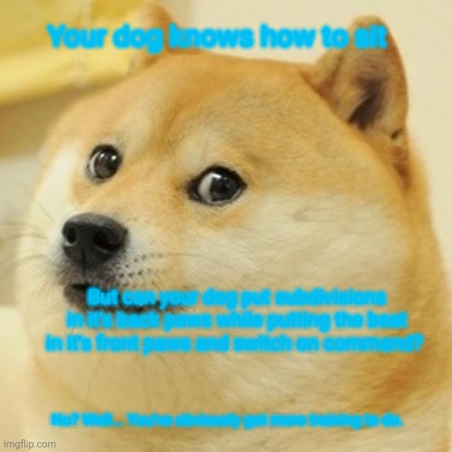 Dorky musicians | Your dog knows how to sit; But can your dog put subdivisions in it's back paws while putting the beat in it's front paws and switch on command? No? Well... You've obviously got more training to do. | image tagged in memes,doge,music,geek | made w/ Imgflip meme maker