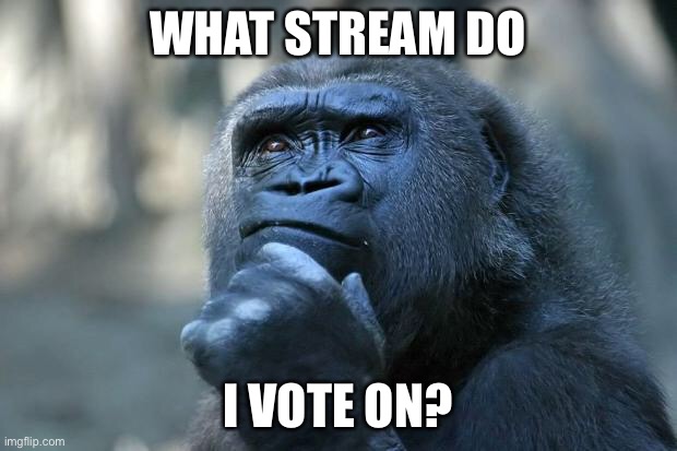 Deep Thoughts | WHAT STREAM DO; I VOTE ON? | image tagged in deep thoughts | made w/ Imgflip meme maker