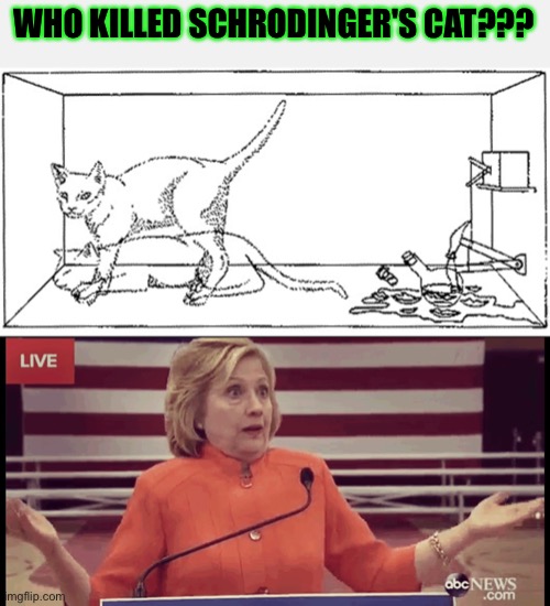 Who killed Schrodinger's cat? | WHO KILLED SCHRODINGER'S CAT??? | image tagged in schrodinger's cat,funny,memes,science,politics,physics | made w/ Imgflip meme maker