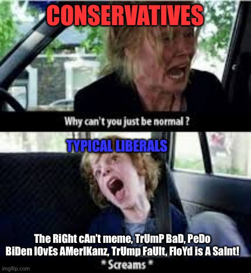 Useless attempt to have a chat with a liberal... | CONSERVATIVES; TYPICAL LIBERALS; The RiGht cAn’t meme, TrUmP BaD, PeDo BiDen lOvEs AMerIKanz, TrUmp FaUlt, FloYd is A SaInt! | image tagged in why cant you just be normal,liberals,brain dead,leftist thinking | made w/ Imgflip meme maker