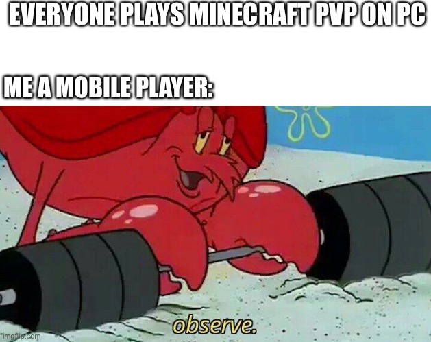 So true | EVERYONE PLAYS MINECRAFT PVP ON PC; ME A MOBILE PLAYER: | image tagged in memes | made w/ Imgflip meme maker