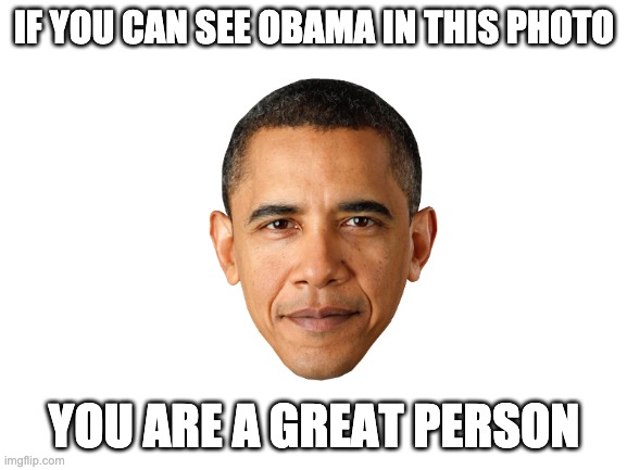 Blank White Template | IF YOU CAN SEE OBAMA IN THIS PHOTO; YOU ARE A GREAT PERSON | image tagged in blank white template | made w/ Imgflip meme maker