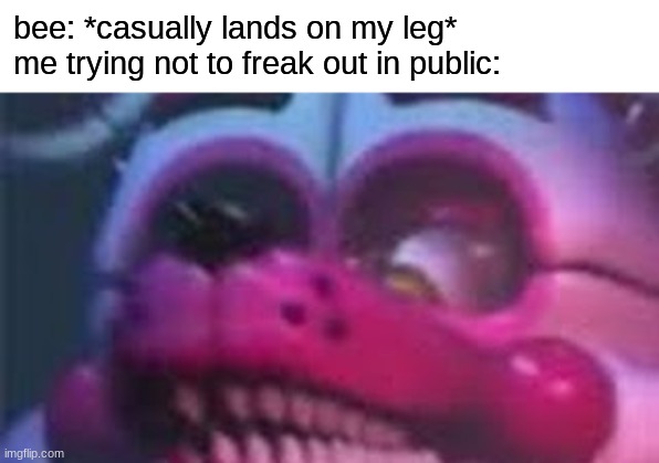 Funtime Foxy is Terrible | bee: *casually lands on my leg*
me trying not to freak out in public: | image tagged in funtime foxy is terrible,fnaf,five nights at freddys,five nights at freddy's,fnaf sister location | made w/ Imgflip meme maker