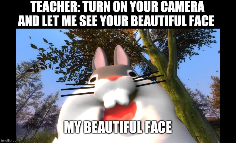 Lol | TEACHER: TURN ON YOUR CAMERA AND LET ME SEE YOUR BEAUTIFUL FACE; MY BEAUTIFUL FACE | image tagged in school | made w/ Imgflip meme maker