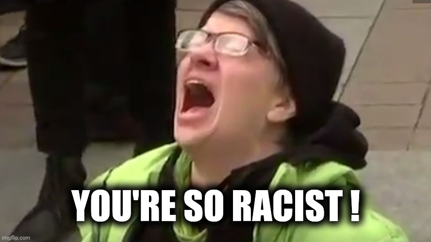 Screaming Liberal  | YOU'RE SO RACIST ! | image tagged in screaming liberal | made w/ Imgflip meme maker