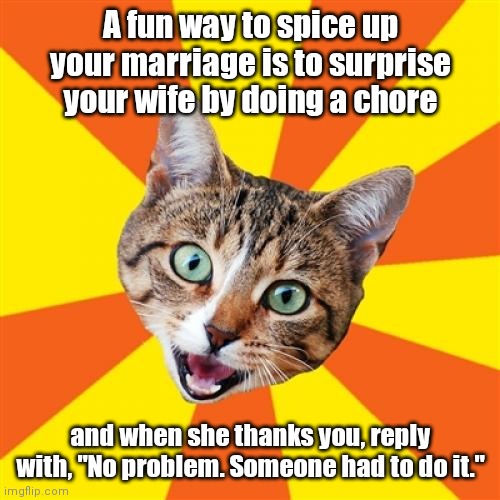 Yeah. Like you ever do anything. | A fun way to spice up your marriage is to surprise your wife by doing a chore; and when she thanks you, reply with, "No problem. Someone had to do it." | image tagged in memes,bad advice cat,funny | made w/ Imgflip meme maker