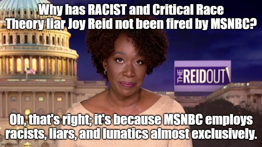 Political meme - Why has MSNBC not fired RACIST and Critical Race Theory liar, Joy Reid? Because it hires racists and liars. |  Why has RACIST and Critical Race Theory liar Joy Reid not been fired by MSNBC? Oh, that's right; it's because MSNBC employs racists, liars, and lunatics almost exclusively. | image tagged in memes,political memes,msnbc,critical race theory,american politics,joy reid | made w/ Imgflip meme maker