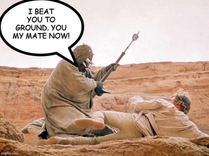 So That's Why He hit Him? | I BEAT YOU TO GROUND. YOU MY MATE NOW! | image tagged in star wars sandpeople/tusken raiders luke skywalker | made w/ Imgflip meme maker