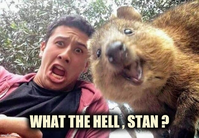WHAT THE HELL , STAN ? | made w/ Imgflip meme maker