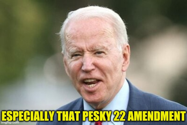 ESPECIALLY THAT PESKY 22 AMENDMENT | made w/ Imgflip meme maker