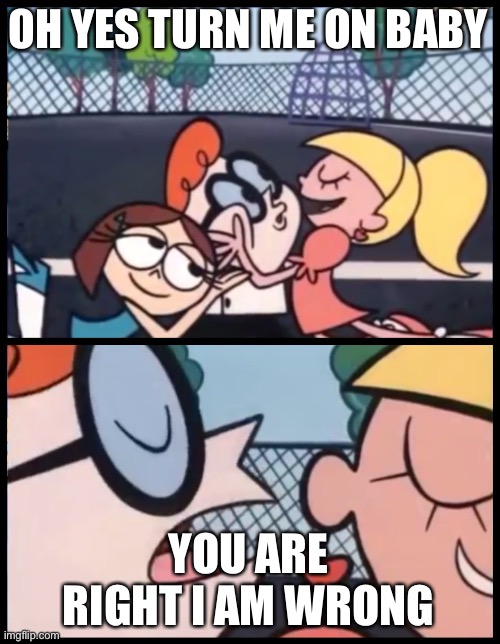 Say it Again, Dexter | OH YES TURN ME ON BABY; YOU ARE RIGHT I AM WRONG | image tagged in memes,say it again dexter | made w/ Imgflip meme maker