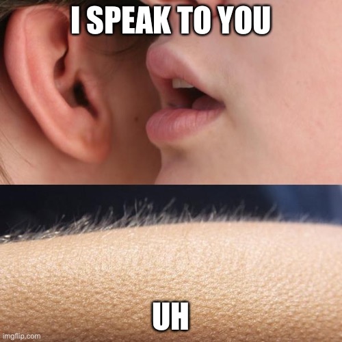 Whisper and Goosebumps | I SPEAK TO YOU; UH | image tagged in whisper and goosebumps | made w/ Imgflip meme maker