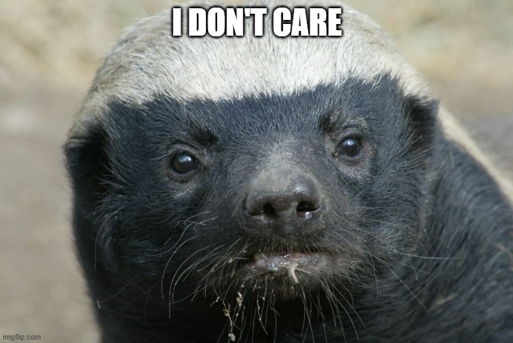 honeybadger | I DON'T CARE | image tagged in honeybadger | made w/ Imgflip meme maker
