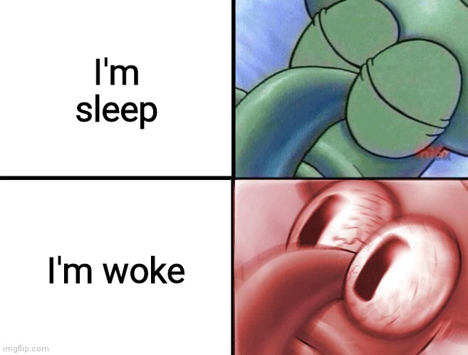 sleeping Squidward | I'm sleep; I'm woke | image tagged in sleeping squidward | made w/ Imgflip meme maker