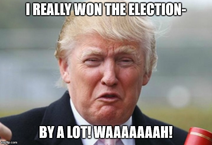 Trump Crybaby | I REALLY WON THE ELECTION-; BY A LOT! WAAAAAAAH! | image tagged in trump crybaby | made w/ Imgflip meme maker