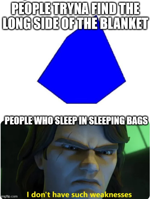 this is why sleeping bags exist | PEOPLE TRYNA FIND THE LONG SIDE OF THE BLANKET; PEOPLE WHO SLEEP IN SLEEPING BAGS | image tagged in funny | made w/ Imgflip meme maker