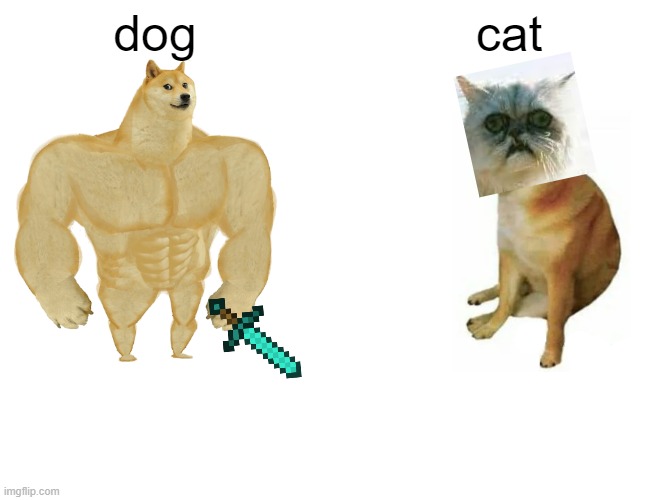 Buff Doge vs. Cheems | dog; cat | image tagged in memes,buff doge vs cheems | made w/ Imgflip meme maker