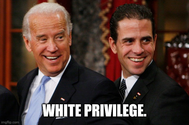 No one knows white privilege like the Bidens. | WHITE PRIVILEGE. | image tagged in memes | made w/ Imgflip meme maker