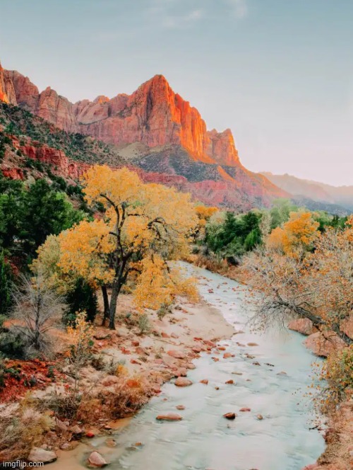 Zion National Park | image tagged in zion national park,utah,awesome pics | made w/ Imgflip meme maker