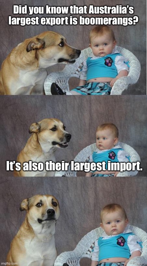 Dad jokes suck |  Did you know that Australia’s largest export is boomerangs? It’s also their largest import. | image tagged in bad joke dog,bad jokes,stupid humor,dad jokes | made w/ Imgflip meme maker