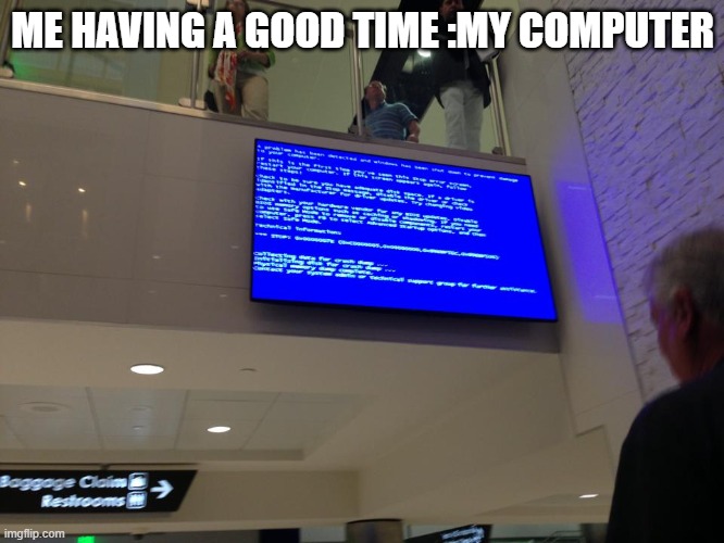blue screen of death at airport | ME HAVING A GOOD TIME :MY COMPUTER | image tagged in blue screen of death at airport | made w/ Imgflip meme maker