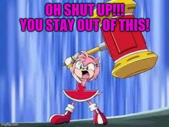 Angry Amy Rose | OH SHUT UP!!! YOU STAY OUT OF THIS! | image tagged in angry amy rose | made w/ Imgflip meme maker