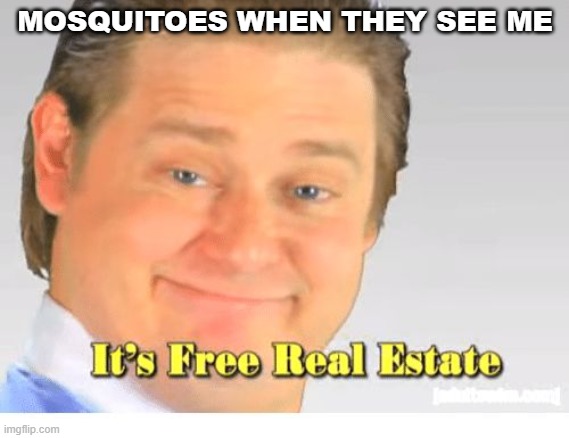 It's Free Real Estate | MOSQUITOES WHEN THEY SEE ME | image tagged in it's free real estate | made w/ Imgflip meme maker