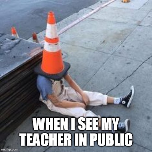 when i see my teacher in public | WHEN I SEE MY TEACHER IN PUBLIC | image tagged in teacher,unwanted,see,hide,orange,disguise | made w/ Imgflip meme maker