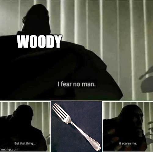 I fear no man |  WOODY | image tagged in i fear no man | made w/ Imgflip meme maker