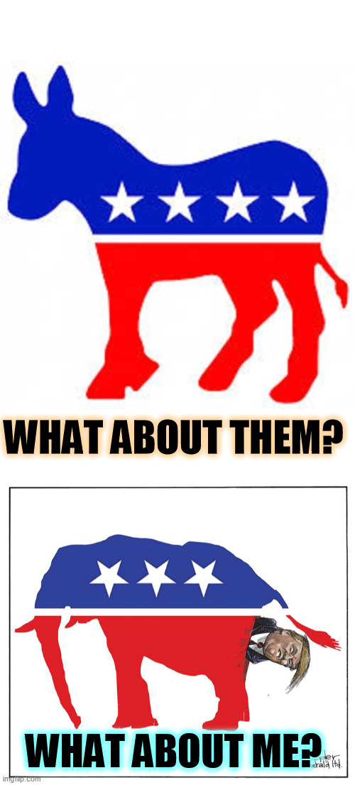 OK, which one sounds more in line with Christ's teachings? | WHAT ABOUT THEM? WHAT ABOUT ME? | image tagged in democrat donkey,gop republican elephant trump poo,democrats,help,republicans,selfish | made w/ Imgflip meme maker