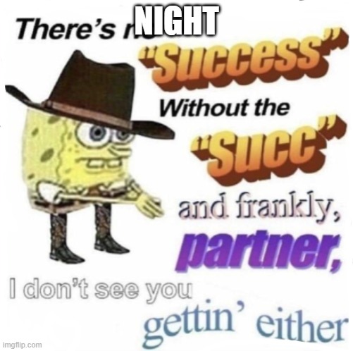 there's no " success " without succ | NIGHT | image tagged in there's no success without succ | made w/ Imgflip meme maker