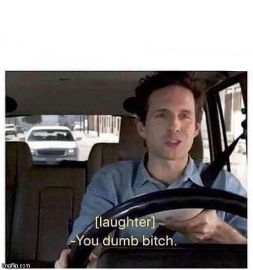 You dumb bitch | image tagged in you dumb bitch | made w/ Imgflip meme maker