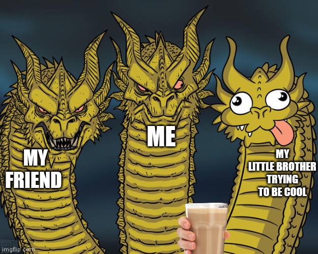 Three-headed Dragon | ME; MY FRIEND; MY LITTLE BROTHER TRYING TO BE COOL | image tagged in three-headed dragon | made w/ Imgflip meme maker