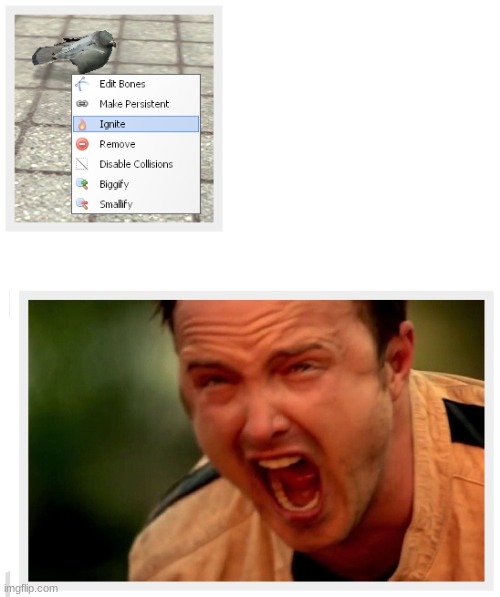 Why do you wanna ignite a pigeon? | image tagged in pigeons,memes,aaron paul,screaming | made w/ Imgflip meme maker