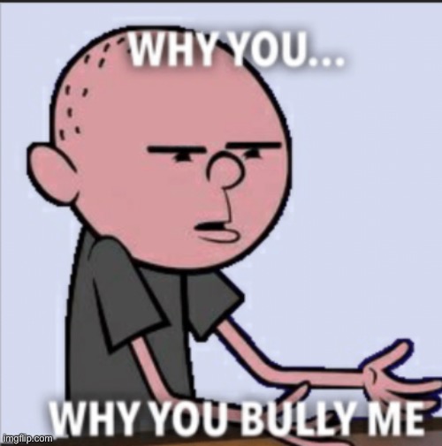 why you bully me | image tagged in why you bully me | made w/ Imgflip meme maker