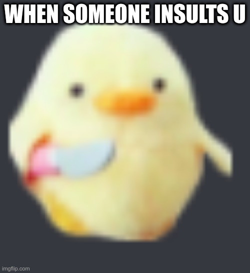 Knife Duck | WHEN SOMEONE INSULTS U | image tagged in knife duck | made w/ Imgflip meme maker
