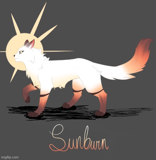 Sunburn Of Sun | made w/ Imgflip meme maker