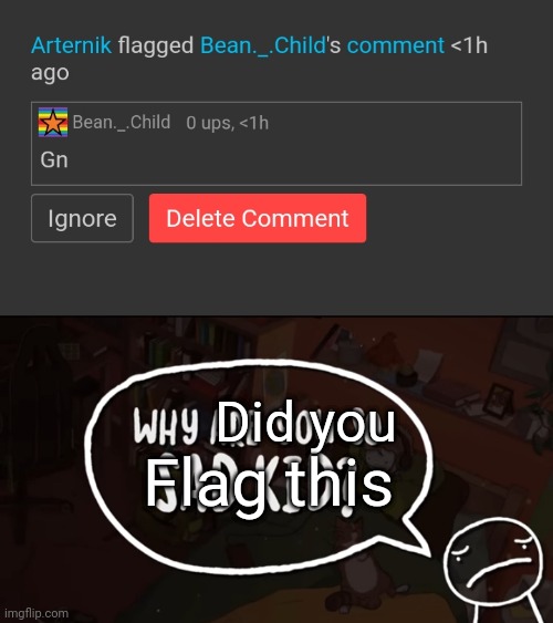 Did you; Flag this | image tagged in why are you so sad kid | made w/ Imgflip meme maker