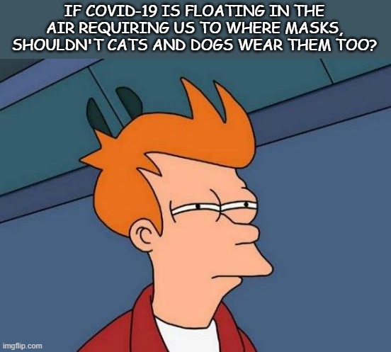 Covid-19 | IF COVID-19 IS FLOATING IN THE AIR REQUIRING US TO WHERE MASKS, SHOULDN'T CATS AND DOGS WEAR THEM TOO? | image tagged in memes,futurama fry,covid-19,covid | made w/ Imgflip meme maker