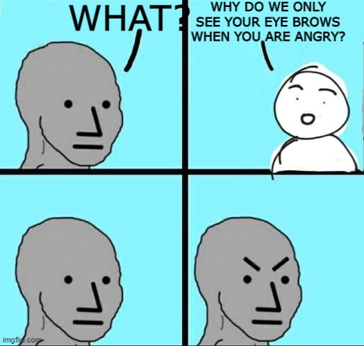 NPC Meme | WHAT? WHY DO WE ONLY SEE YOUR EYE BROWS WHEN YOU ARE ANGRY? | image tagged in npc meme | made w/ Imgflip meme maker