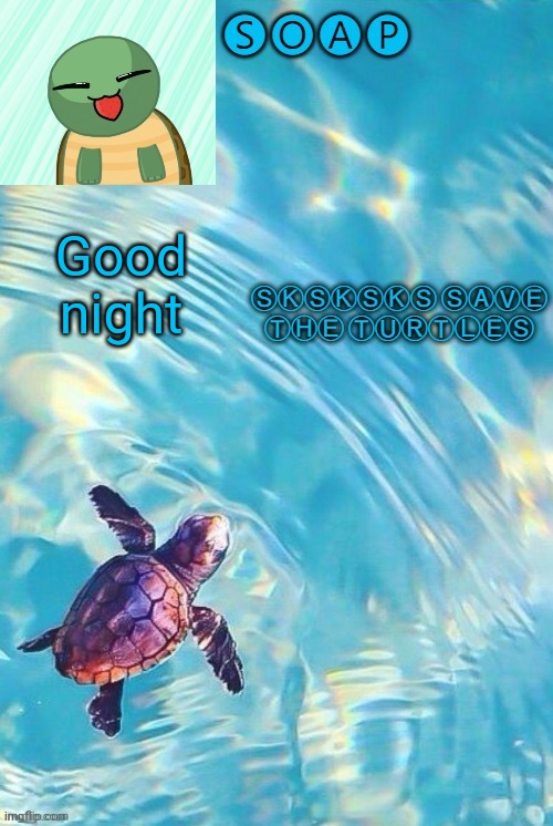 Soaps turtle temp | Good night | image tagged in soaps turtle temp ty yachi | made w/ Imgflip meme maker